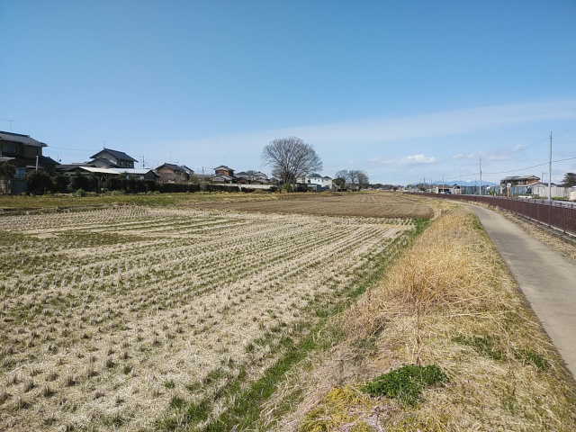 画像を等倍で表示します 画像